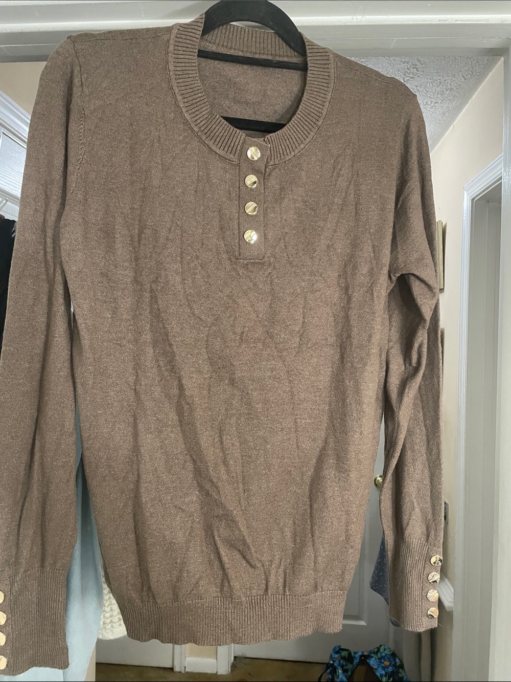 Brown Button‑Placket Crewneck Sweater